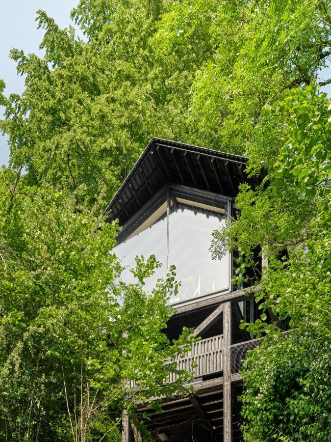 Hutstuf The Beaver & Private Outdoor Spa La Roche-en-Ardenne Exterior foto